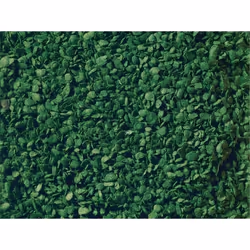 NOCH Leaves Set, Vert