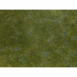 NOCH F7252, Vert