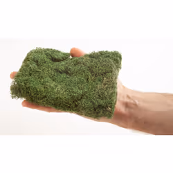 NOCH PROFI Bushes medium green pièce pour modèle à l'échelle et accessoires Plantes