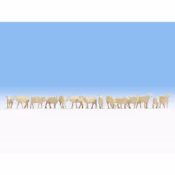 NOCH Sheep, HO (1:87), Blanc