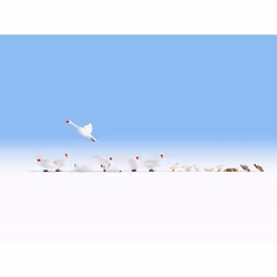NOCH Swan and Ducks, HO (1:87), Multicolore
