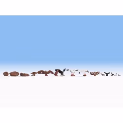 NOCH Birds, HO (1:87), Multicolore