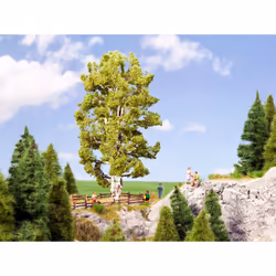 NOCH Double Trunk Birch pièce pour modèle à l'échelle et accessoires Arbre