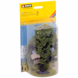 NOCH 21765, Marron, Vert
