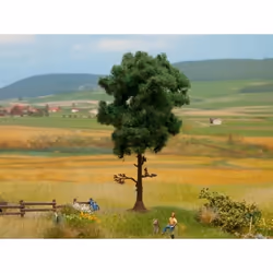 NOCH Pine Tree, Vert