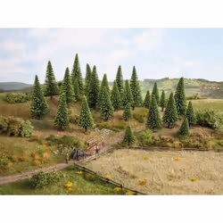 NOCH Model Spruce Trees pièce pour modèle à l'échelle et accessoires Arbre