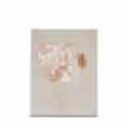 Album photo - Minimax - Singo II - 100 photos - Coton - 10x15 cm