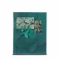 Album photo - Singo II - Couverture souple - 80 photos - 10x15 cm - Mixte