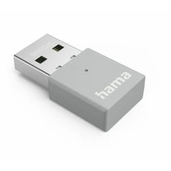 Hama 00053310 carte réseau WLAN 600 Mbit/s