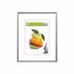 Hama 00066435, Plastique, Argent, Cadre pour une seule photo, 20 x 28 cm, Réfléchissant, 300 mm