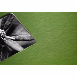 Hama Fine Art album photo et protège-page Vert 300 feuilles 10 x 15, 13 x 18 - Vue supplémentaire 4