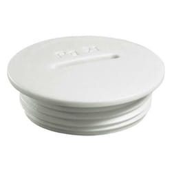 Vis de fermeture Wiska 50060737 PG48 Polyamide 1 pc(s) S25104