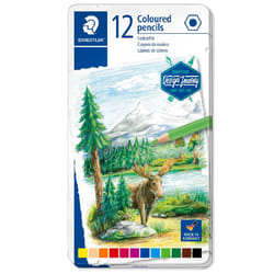 STAEDTLER Crayons de Couleur pour Enfants et Artistes - Boîte de 12 Pièces pour Dessin et Coloriage