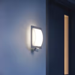 STEINEL L 20 S Éclairage mural extérieur E27 LED Anthracite