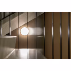 STEINEL RS PRO R20 basic SC éclairage de plafond Blanc Ampoule(s) non remplaçable(s) LED