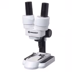 Microscope incident et transmis 50x