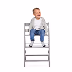 Hauck Alpha+ Chaise haute traditionnelle Siège rigide Gris - Vue supplémentaire 7