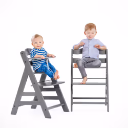 Hauck Alpha+ Chaise haute traditionnelle Siège rigide Gris - Vue supplémentaire 8