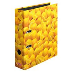 Herlitz 10546901 classeur à anneaux A4 Multicolore