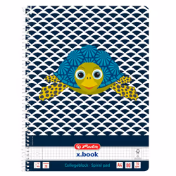 Herlitz 50039203, Image, Multicolore, A4, 80 feuilles, 70 g/m², Papier quadrillé