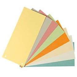 Herlitz 10843621 intercalaire Carton 100 pièce(s)