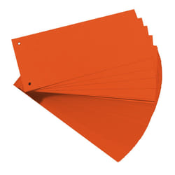 Herlitz 10843647 intercalaire Carton Orange 100 pièce(s)