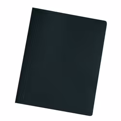 Herlitz 10902583, Album de présentation, A4, Carton, Noir, 1 pièce(s)