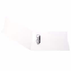 Herlitz 11205770 classeur à anneaux Transparent