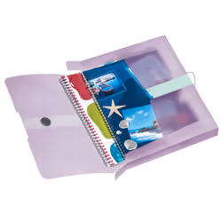 Herlitz 11408994 boîte à archive Lilas, Transparent Polypropylène (PP)