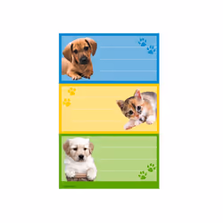 Herlitz 830216, Universel, Allemagne, 8 cm, 12,5 cm, 9 pièce(s), 3 pièce(s)