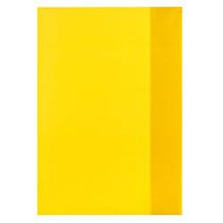 Herlitz 05214010 Protège-cahier 1 pièce(s) Jaune