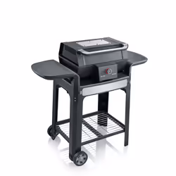 Severin PG 8139 Grill Chariot Electrique Noir, Acier inoxydable 3000 W