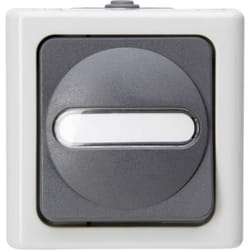 Interrupteur/inverseur Kopp 560756009 BlueElectric gris