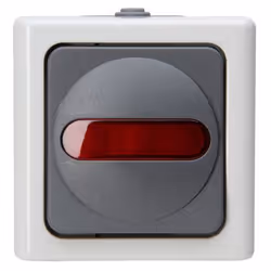 Kopp 561656007, Boutons, Gris, Blanc, Thermoplastique, IP44, 250 V, 10 A