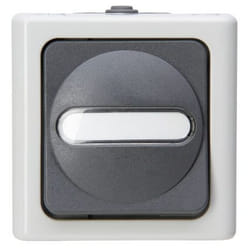 Kopp 560856002 interrupteur d'éclairage Thermoplastique Noir, Blanc