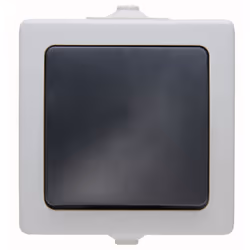 Kopp 565756004, Boutons, Noir, Gris, Thermoplastique, IP44, 250 V, 10 A