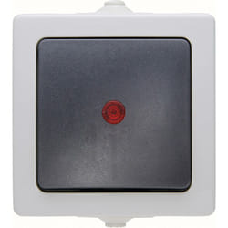 Interrupteur avec témoin lumineux Kopp 566656002 Nautic gris