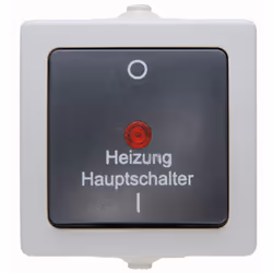 Kopp 565356002, Boutons, Noir, Gris, Thermoplastique, IP44, 250 V, 10 A
