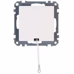 Kopp 295829001, Blanc, 1 pièce(s), 250 V, 10 A