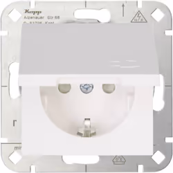 Informations techniques Code couleur RAL (similaire) : 9010 Composants du commutateur : Insert Couleur : blanc pur Courant no ...
