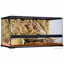 Les terrariums d'Exo Terra sont une maison id_ale pour les reptiles et les amphibiens et ont _t_ conЌus par les herpЏteologue ...