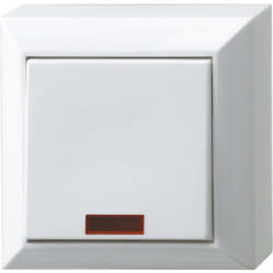 REV - Interrupteur avec témoin lumineux blanc 0501482551 1 pc(s) C662531