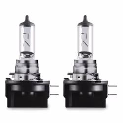 Osram 4008321054654, 55 V, 1 pièce(s)