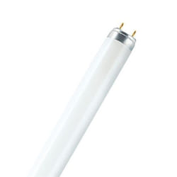 Osram Lumilux T5 Short ampoule fluorescente 8 W G5 Blanc froid