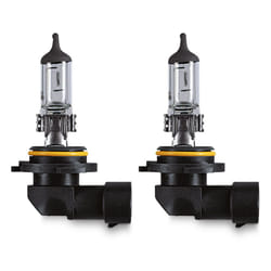 Osram 4008321171238 Ampoule électrique pour voiture