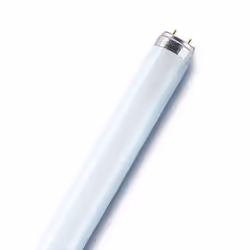 Osram Lumilux, 19 W, G13, 20000 h, 1350 lm, Blanc froid