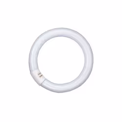 Osram LUMILUX, 32 W, G10q, T9, 9000 h, 2150 lm, Lumière du jour froide