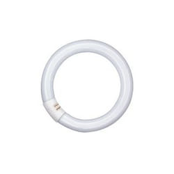 Osram LUMILUX ampoule fluorescente 32 W G10q Lumière du jour froide
