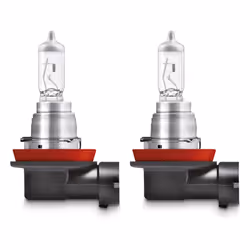 Osram 4008321626783, 19 V, 1 pièce(s)