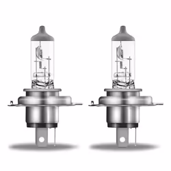 Osram 4008321856357, 100 V, 4800 K, 1 pièce(s)
